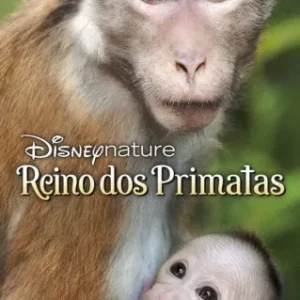 Coleção Digital O Reino Dos Primatas Documentário Completo