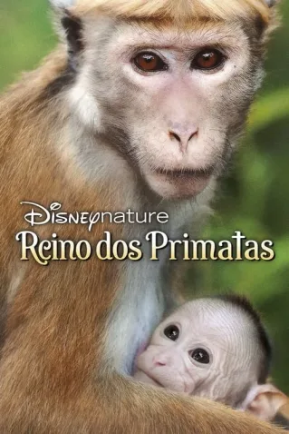 Coleção Digital O Reino Dos Primatas Documentário Completo