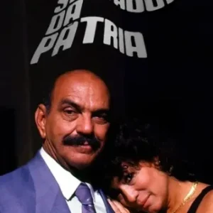 Novela O Salvador da Pátria Todos Capítulos Completos Envio Digital