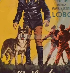 Coleção Digital O Vigilante Rodoviário Todas Temporadas Completo Dublado