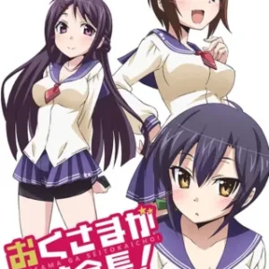 Coleção Digital Okusama Ga Seitokaichou! Completo