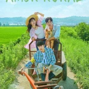 Dorama Once Upon A Small Town Todos Capítulos Completos Envio Digital