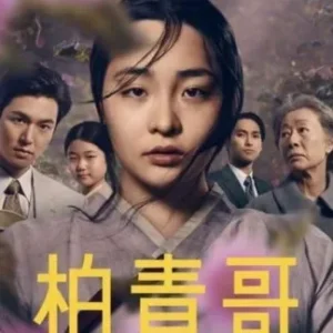 Coleção Digital Pachinko Todas Temporadas Completo Dublado