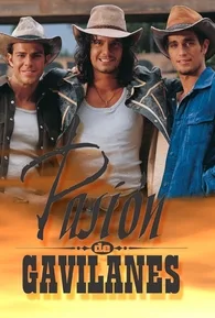 Novela Paixões Ardentes Todos Capítulos Completos Envio Digital