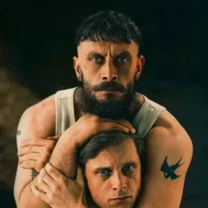 Pela Metade Todas as Temporadas Completo Dublado