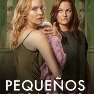 Pequenos Desastres Todas as Temporadas Completo Dublado