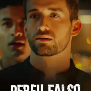 Coleção Digital Perfil Falso Todas Temporadas Completo Dublado