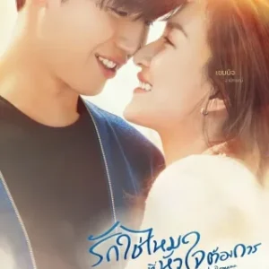 Dorama Preciso De Romance Todos Capítulos Completos Envio Digital