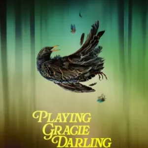 Quer Brincar De Gracie Darling Todas as Temporadas Dublado