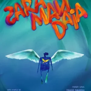 Novela Saramandaia Todos Capítulos Completos Envio Digital