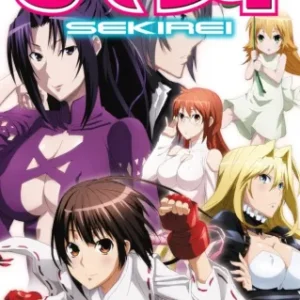 Coleção Digital Sekirei Todos Episódios Completo