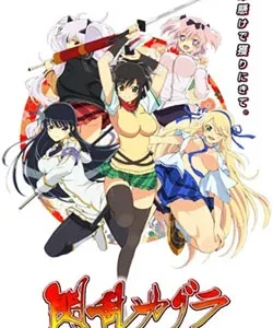 Coleção Digital Senran Kagura Todos Episódios Completo