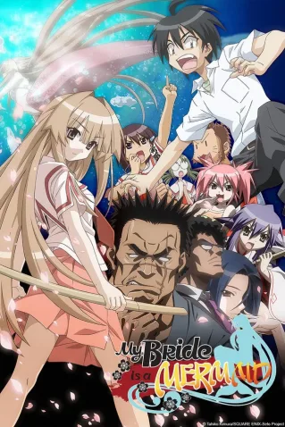 Coleção Digital Seto No Hanayome Todos Episódios Completo