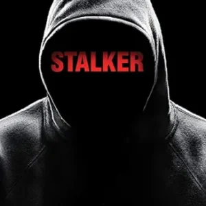 Coleção Digital Stalker Todas Temporadas Completo
