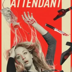 The Flight Attendant Todas as Temporadas Completo Dublado