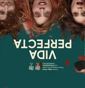 Coleção Digital Vida Perfeita Todas Temporadas Completo Dublado