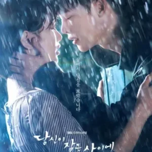 Coleção Digital While You Were Sleeping Todas Temporadas