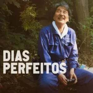 Dias Perfeitos Todas as Temporadas Completo Dublado