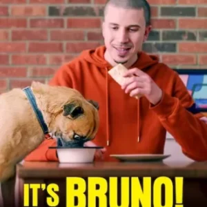 Coleção Digital É o Bruno Todas Temporadas Completo Dublado