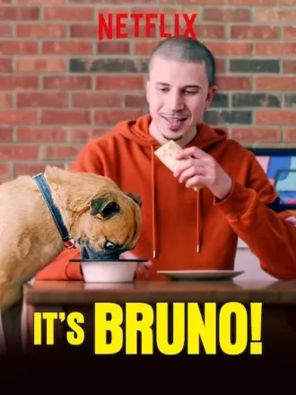 Coleção Digital É o Bruno Todas Temporadas Completo Dublado